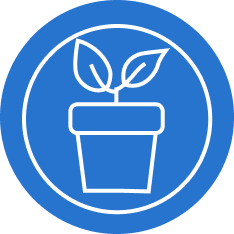 Our Origins icon of Plant